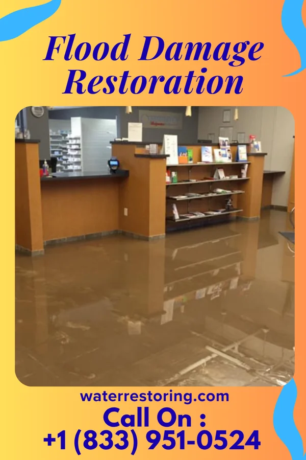 Flood Damage Restoration in Pontoon Beach, IL