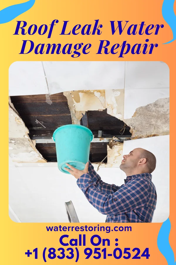 Roof Leak Water Damage Repair in Pontoon Beach, IL