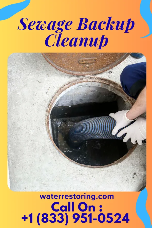 Sewage Backup Cleanup in Pontoon Beach, IL