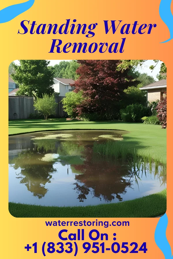 Standing Water Removal in Pontoon Beach, IL